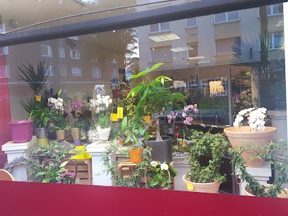 Dieter Krüsken, Blumenladen in Aachen