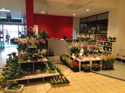 Blumen Gebr. Spangenberg Duisburg, Blumenladen in Duisburg