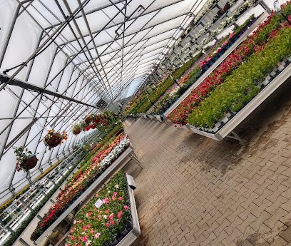 Fahn GmbH & Co. KG Floristik - Gärtnerei - Landschaftsbau, Blumenladen in Hohenwart