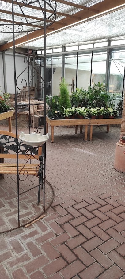 Wilhelm Dörries, Blumenladen in Einbeck