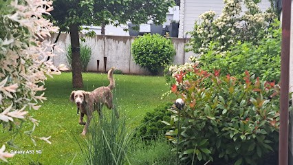 Eckhard Hahnenstein, Blumenladen in Mittenaar