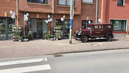 Blütenmeer - Anholt, Blumenladen in Isselburg