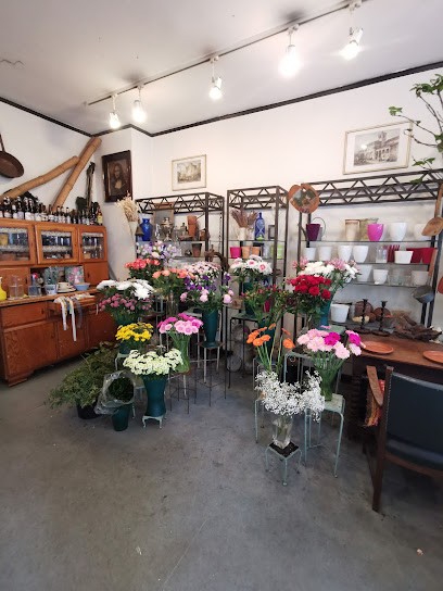 Peter Honisch, Blumenladen in Düsseldorf