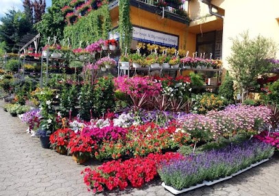 Gärtnerei & Blumenhaus Scherz, Blumenladen in Püttlingen
