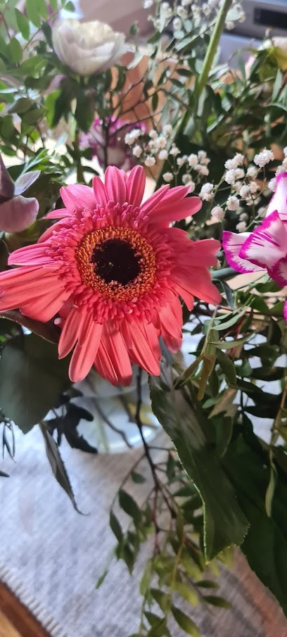 Floristik 99 GmbH, Blumenladen in Nordhausen