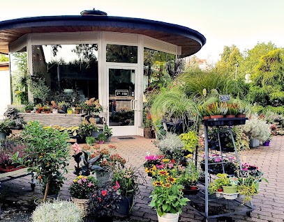 Blumenpavillon Bleßmann, Blumenladen in Meißen