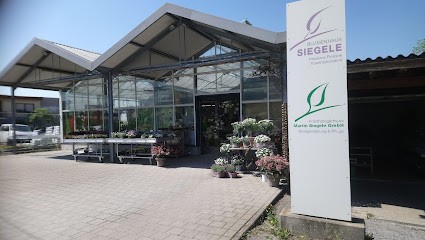 Friedhofsgärtnerei Martin Siegele GmbH, Blumenladen in Bruchsal