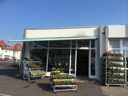 Blumen Edelweiß Kassel, Blumenladen in Kassel