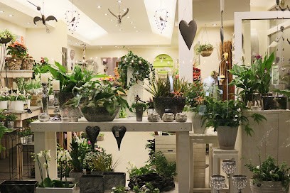 Blumengeschäft Schnock, Blumenladen in Langerwehe