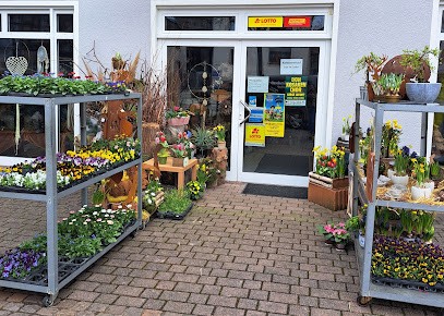 Blumen U. Geschenke, Blumenladen in Sinsheim