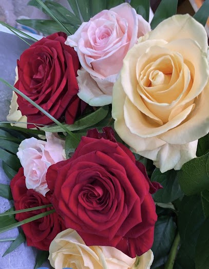 Junker Blumenhaus, Blumenladen in Mainhausen