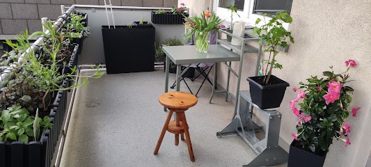 Blumen Habel vom Sonnenhof, Blumenladen in Friedberg