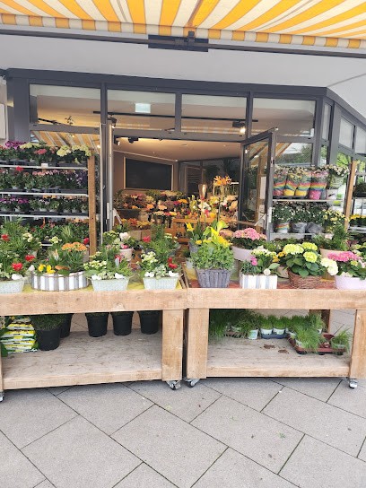 Alice im Blumenland, Blumenladen in Erkrath