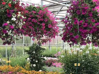 Kobs Landgärtnerei Inh. Wolfgang Kobs, Blumenladen in Dersau