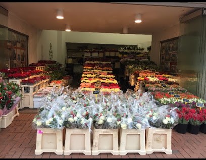 Blumenhaus Pascha, Blumenladen in Frechen