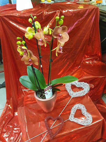 Blumen Am Langen Grund Wandlitz, Blumenladen in Wandlitz