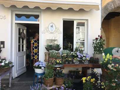 Fräulein Grün, Blumenladen in Hersbruck