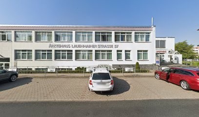 Gartenbau Starke Blumenparadies Mittweida, Blumenladen in Mittweida