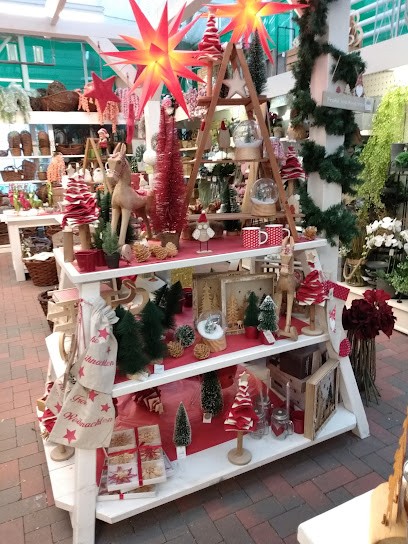 Blumen Fischer, Blumenladen in Reinfeld