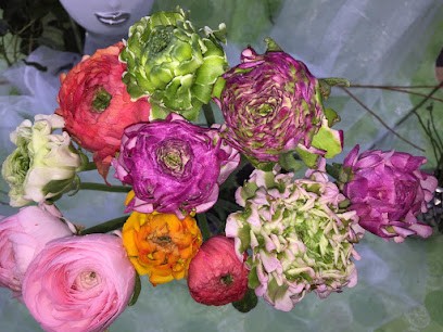 Blümchen Sehnde, Blumenladen in Sehnde