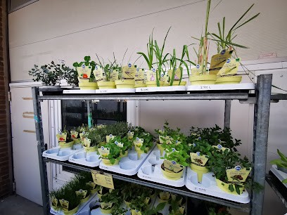 Gardiner, Blumenladen in Schermbeck