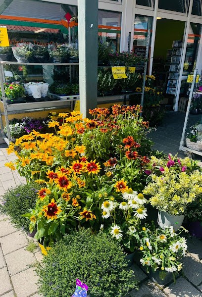 ThüFlor Blumengroß- Und Einzelhandel - Filiale Oberdorla, Blumenladen in Vogtei