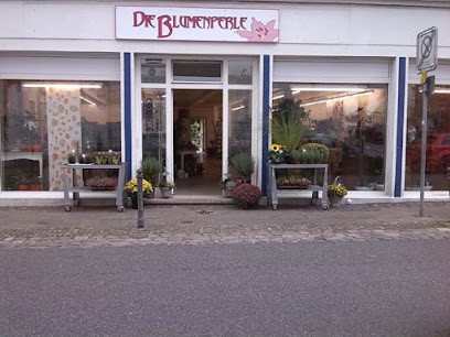 Die Blumenperle Floristisches Fachgeschäft, Blumenladen in Gangelt
