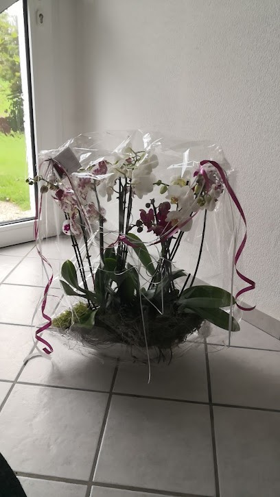 Blumenhaus Schröder, Blumenladen in Hüllhorst