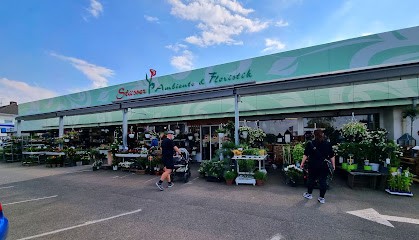 Stüsser Ambiente & Floristik, Blumenladen in Bornheim