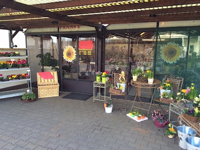 Blumenhaus Franke, Blumenladen in Weinböhla