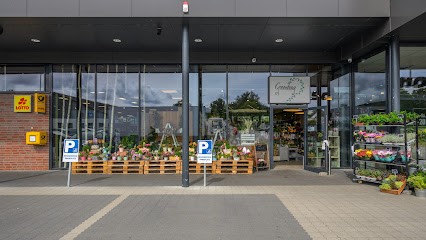 Grööntüüg, Blumenladen in Felde