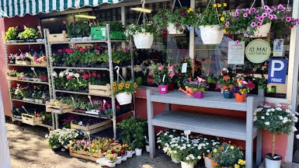 Mary's Blumenboutique, Blumenladen in Villingen-Schwenningen