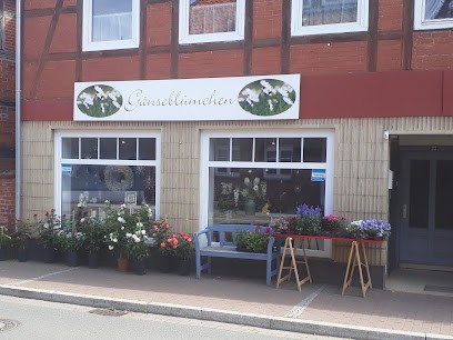 Christel Borchert Gänseblümchen, Blumenladen in Hitzacker