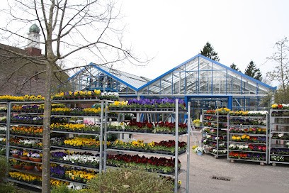 Blumenpark Schütte KG, Varel, Blumenladen in Varel