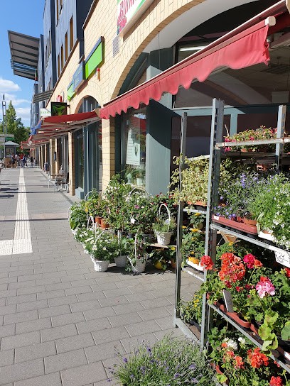 Blumen Und Pflanzen, Blumenladen in Hennigsdorf