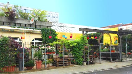 BLUMEN TREDE, Blumenladen in Regensburg