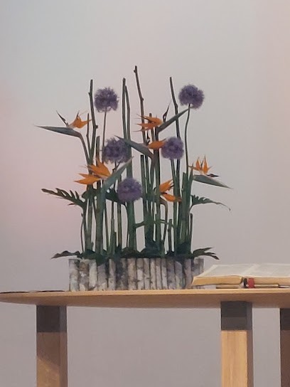 Blumen Stamm, Blumenladen in Solingen