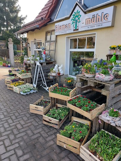 Blumenmühle Susanne König, Blumenladen in Dingelstädt