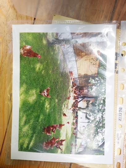 Blumen Kreutz, Blumenladen in Elsterwerda