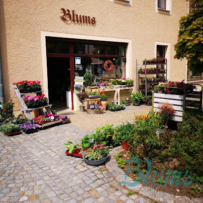 Blums, Blumenladen in Markersdorf