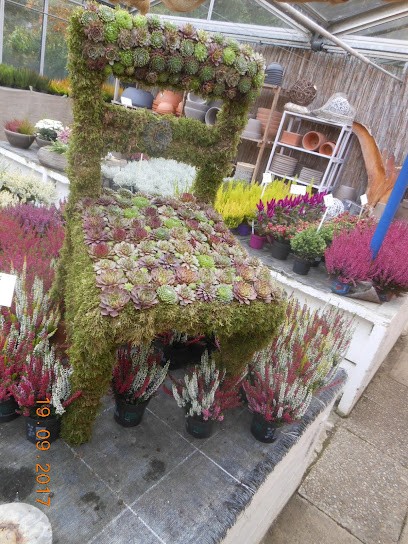 Blumen Lessle, Blumenladen in Aalen