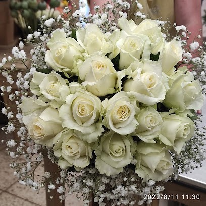 Holland Blumen Discount Glasbergen Und Griftioen, Blumenladen in Ilsede