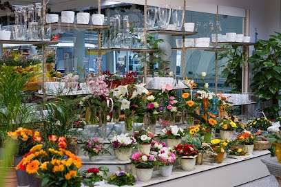 Blumenhof Griem, Blumenladen in Güstrow