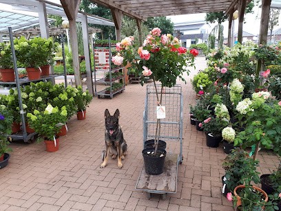 Tasche Blumen Horst, Blumenladen in Diepholz