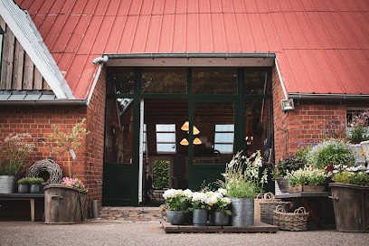 Blumen vom Hof Rienhoff, Blumenladen in Barnitz