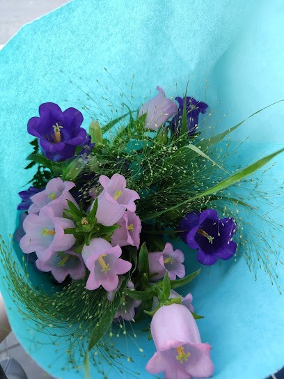 Ahmad Moradnezhad, Blumenladen in Köln