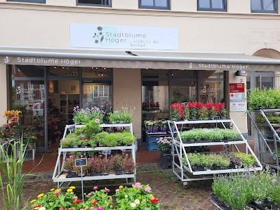 Stadtblume Höger, Blumenladen in Bad Segeberg