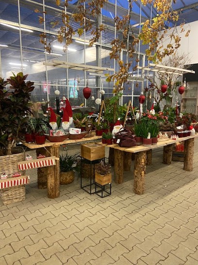 Gärtnerei Zink Inh. Manuel Muschal, Blumenladen in Wellendingen