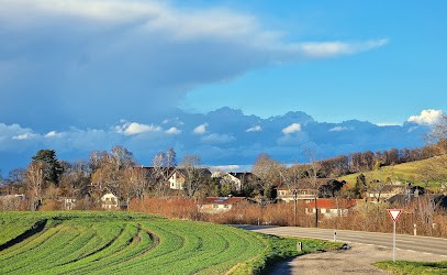 Blumen selber pflücken Breitbrunn, Blumenladen in Herrsching
