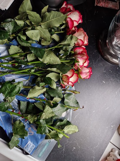 Blumen Schlenz, Blumenladen in Schwelm